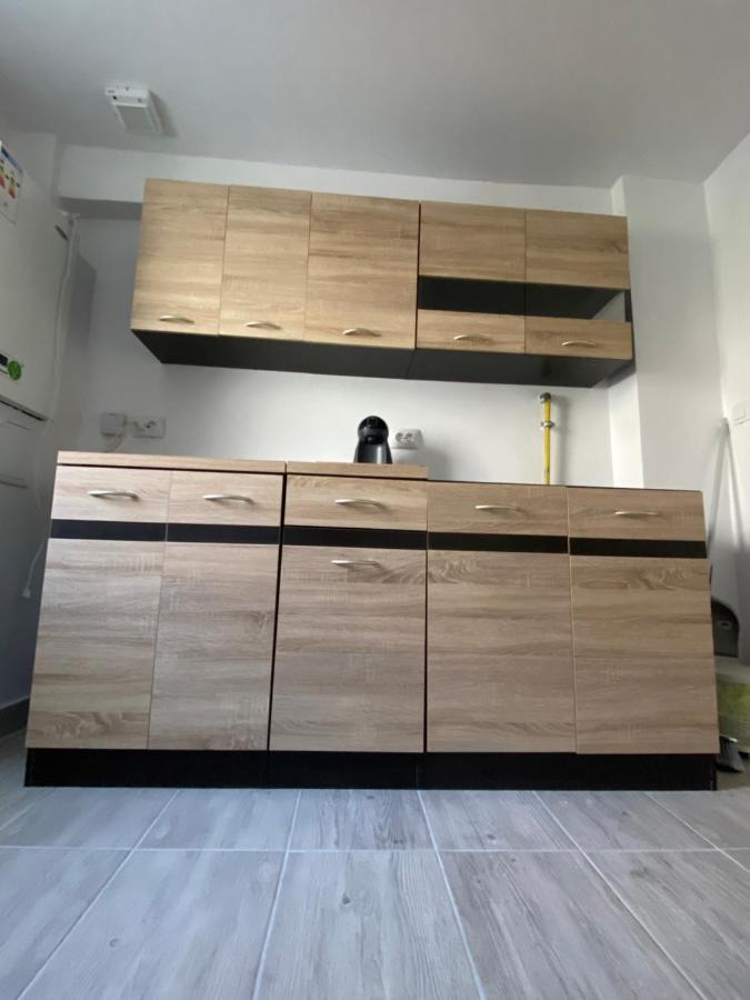 Appartement Apartament House Sasca à Oradea Extérieur photo